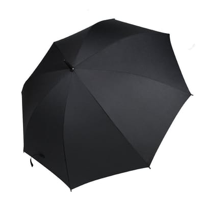 Fan Umbrella_img_3
